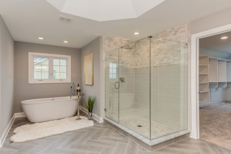 Shower and Tub Area
